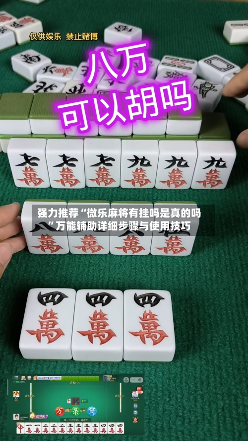 强力推荐“微乐麻将有挂吗是真的吗”万能辅助详细步骤与使用技巧
