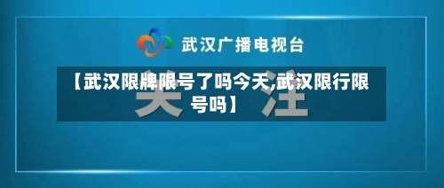 【武汉限牌限号了吗今天,武汉限行限号吗】