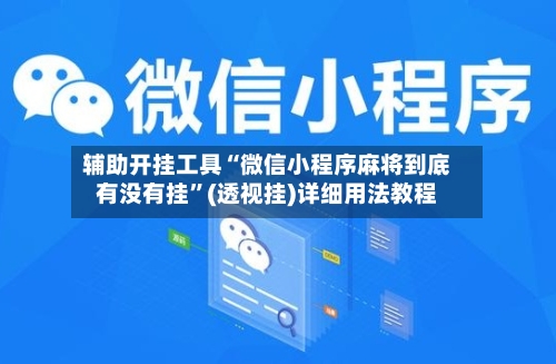 辅助开挂工具“微信小程序麻将到底有没有挂”(透视挂)详细用法教程