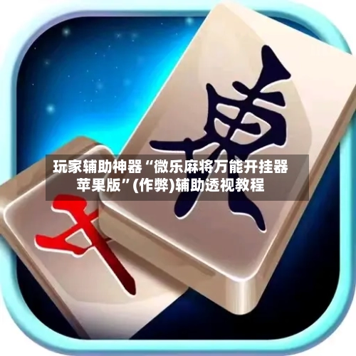 玩家辅助神器“微乐麻将万能开挂器苹果版”(作弊)辅助透视教程