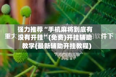 强力推荐“手机麻将到底有没有开挂”(免费)开挂辅助教学(最新辅助开挂教程)