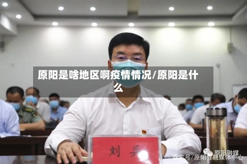 原阳是啥地区啊疫情情况/原阳是什么