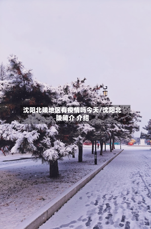 沈阳北陵地区有疫情吗今天/沈阳北陵简介 介绍