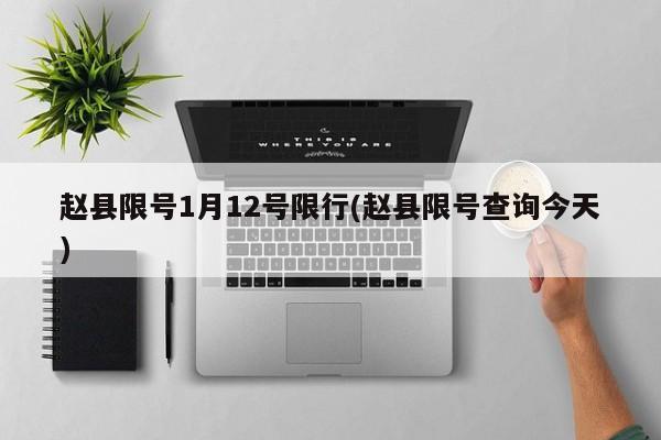 赵县限号1月12号限行(赵县限号查询今天)