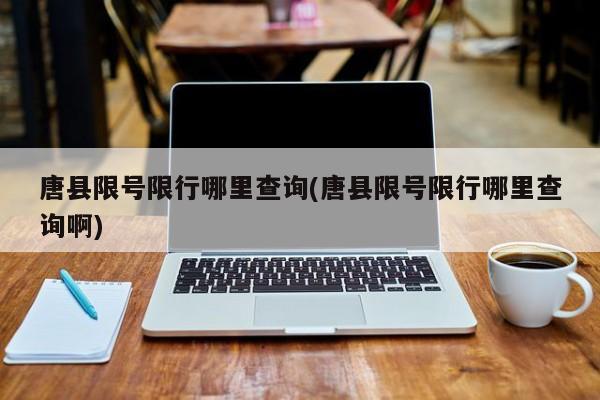 唐县限号限行哪里查询(唐县限号限行哪里查询啊)