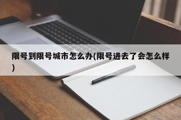 限号到限号城市怎么办(限号进去了会怎么样)