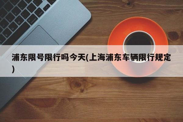 浦东限号限行吗今天(上海浦东车辆限行规定)
