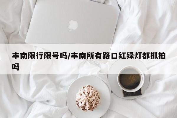 丰南限行限号吗/丰南所有路口红绿灯都抓拍吗
